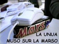 La unua muso sur la Marso